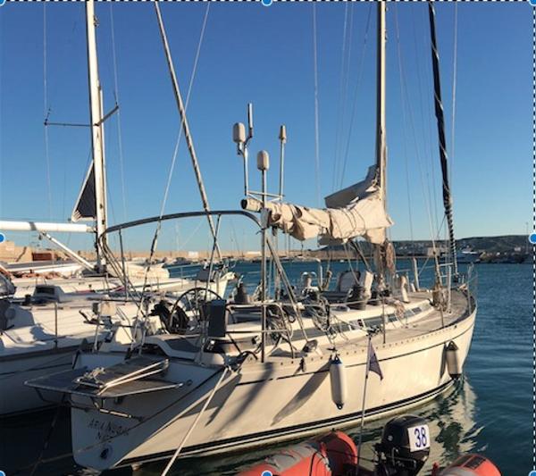 Swan - 43