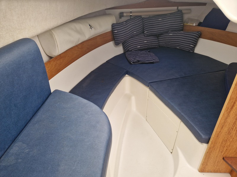 Sessa - Dorado 22 Ocean