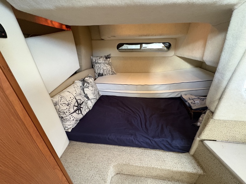 Bayliner - 305