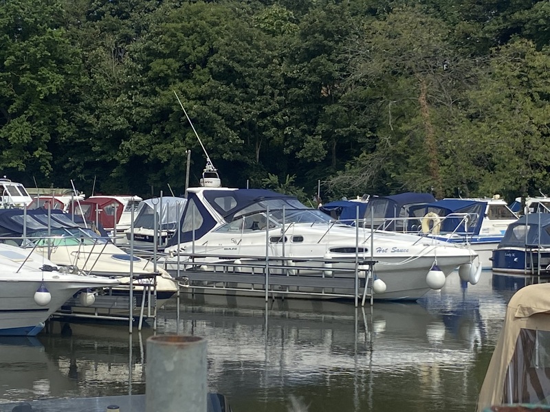 Sealine - S28