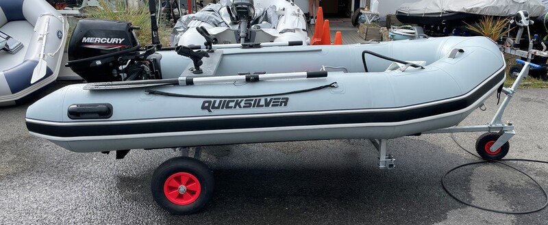 Quicksilver - 320 Sport