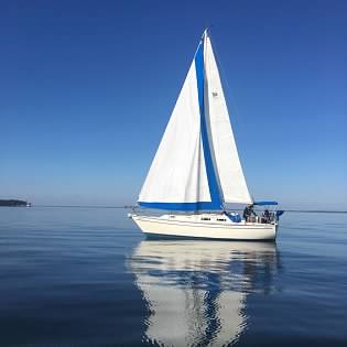 Pearson - Sloop 303